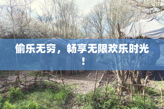 偷乐无穷，畅享无限欢乐时光！