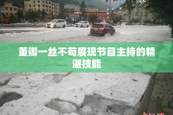 董卿一丝不苟展现节目主持的精湛技能