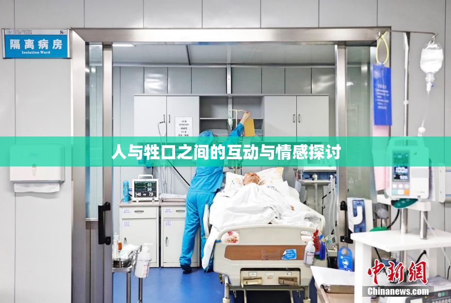 人与牲口之间的互动与情感探讨