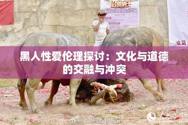 黑人性爱伦理探讨：文化与道德的交融与冲突