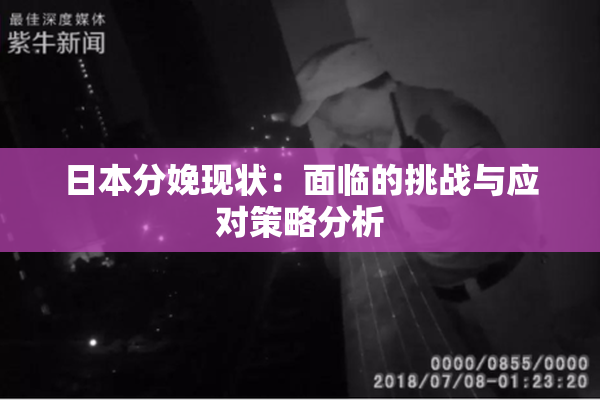 日本分娩现状：面临的挑战与应对策略分析