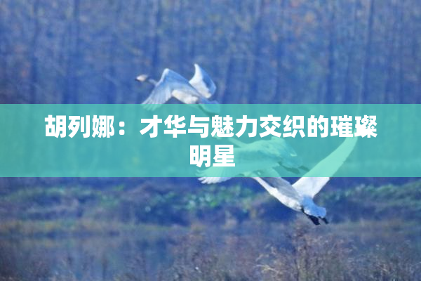 胡列娜：才华与魅力交织的璀璨明星