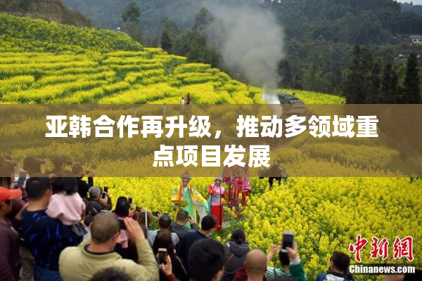 亚韩合作再升级，推动多领域重点项目发展