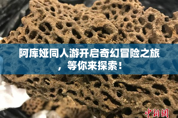 阿库娅同人游开启奇幻冒险之旅，等你来探索！