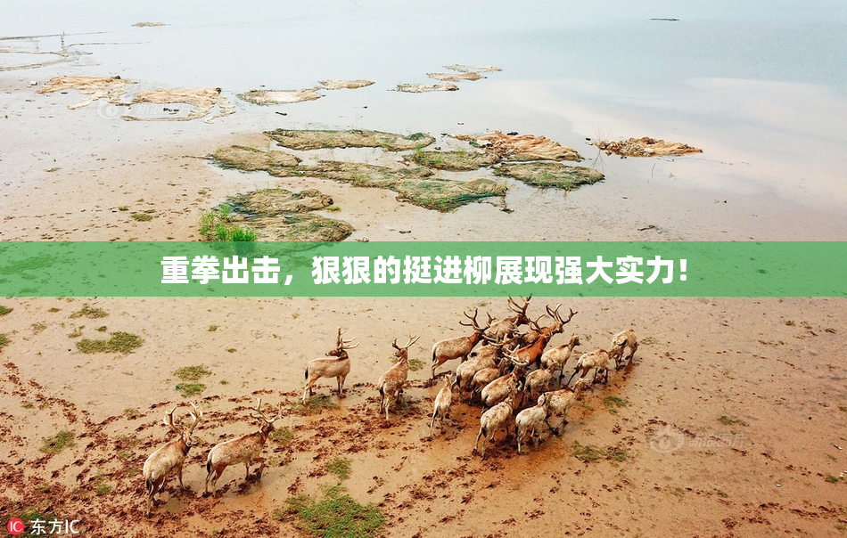 重拳出击，狠狠的挺进柳展现强大实力！