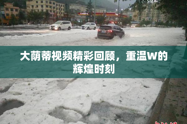 大荫蒂视频精彩回顾，重温W的辉煌时刻