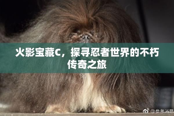 火影宝藏C，探寻忍者世界的不朽传奇之旅