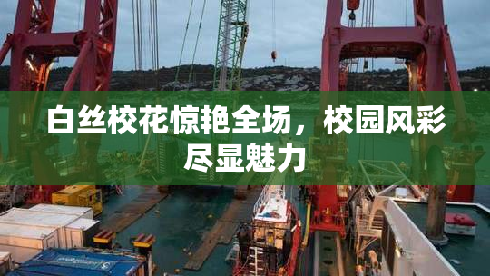 白丝校花惊艳全场，校园风彩尽显魅力
