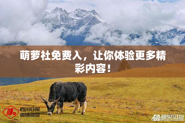 萌萝社免费入，让你体验更多精彩内容！