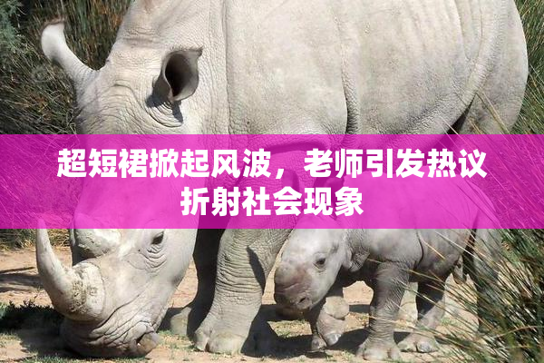 超短裙掀起风波，老师引发热议折射社会现象