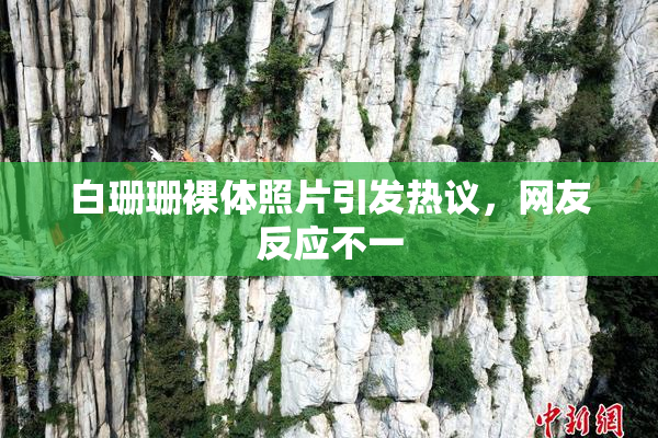 白珊珊裸体照片引发热议，网友反应不一