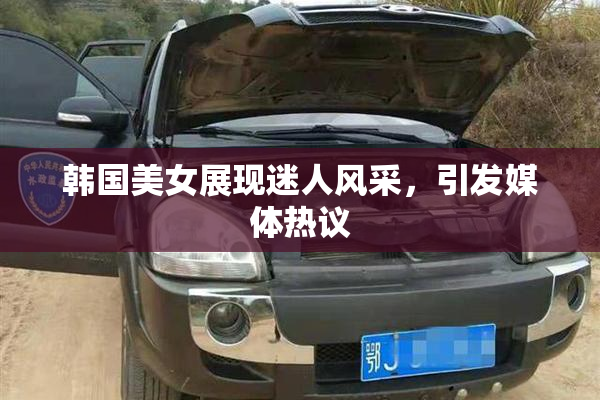 韩国美女展现迷人风采，引发媒体热议