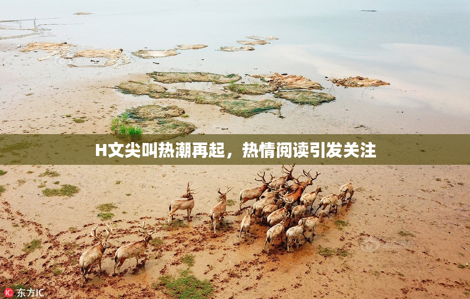 H文尖叫热潮再起，热情阅读引发关注