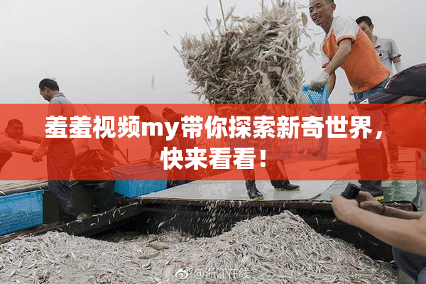 羞羞视频my带你探索新奇世界，快来看看！