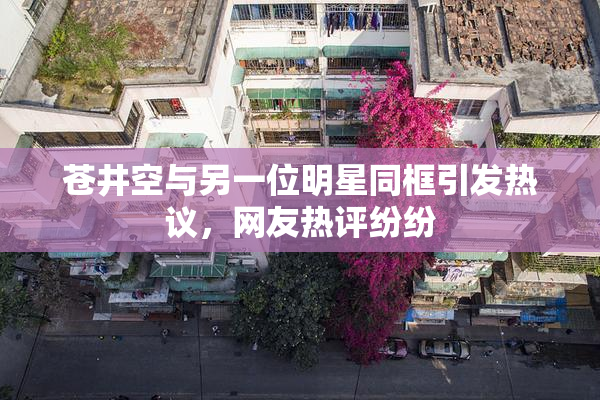 苍井空与另一位明星同框引发热议，网友热评纷纷