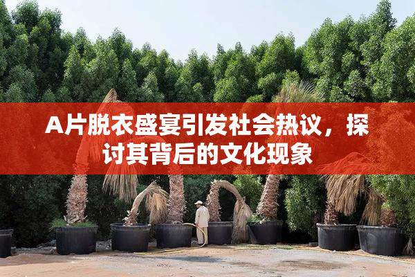A片脱衣盛宴引发社会热议，探讨其背后的文化现象
