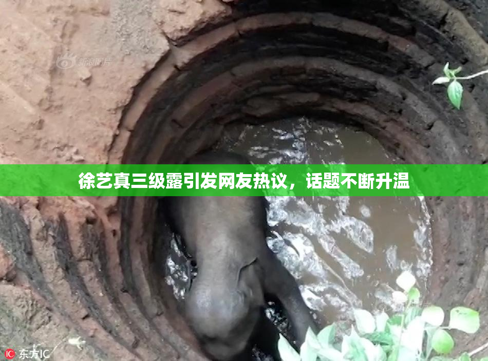 徐艺真三级露引发网友热议，话题不断升温