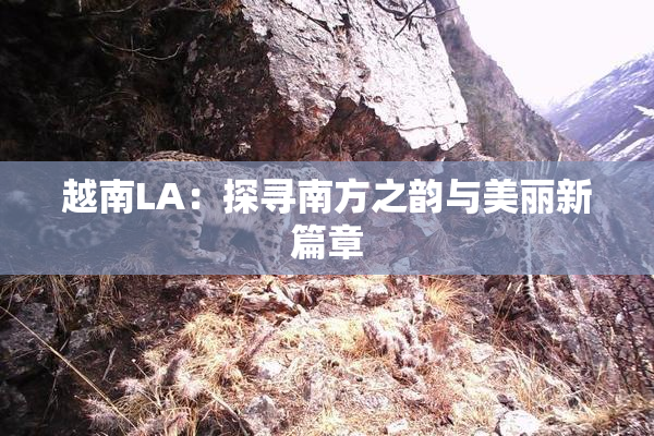 越南LA：探寻南方之韵与美丽新篇章