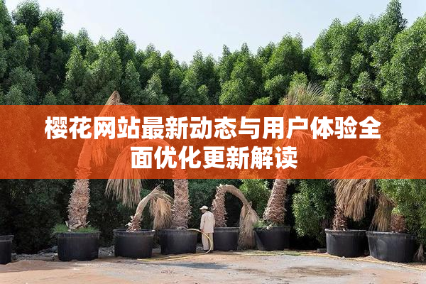 樱花网站最新动态与用户体验全面优化更新解读