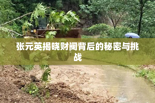 张元英揭晓财阀背后的秘密与挑战