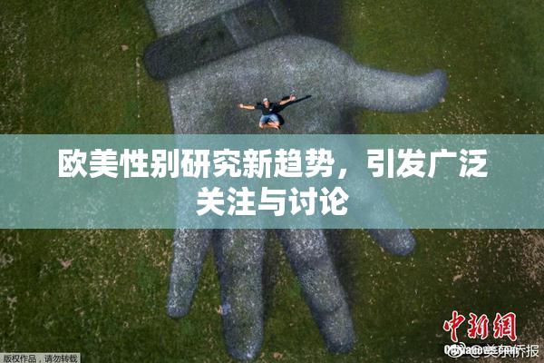 欧美性别研究新趋势，引发广泛关注与讨论