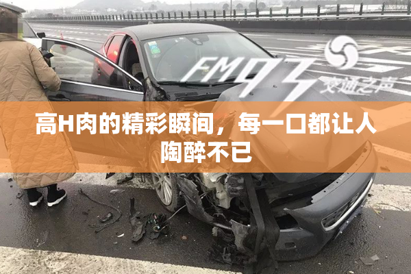 高H肉的精彩瞬间，每一口都让人陶醉不已