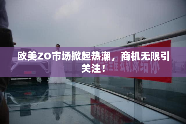 欧美ZO市场掀起热潮，商机无限引关注！