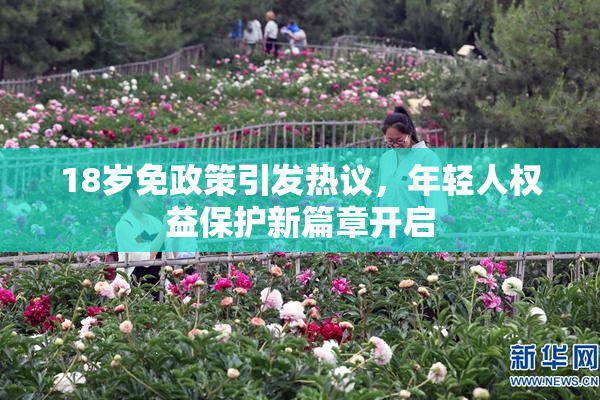 18岁免政策引发热议，年轻人权益保护新篇章开启