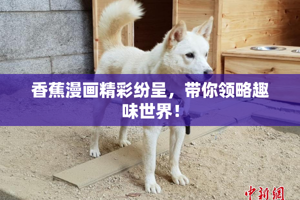 香蕉漫画精彩纷呈，带你领略趣味世界！