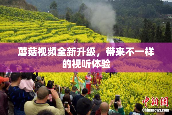 蘑菇视频全新升级，带来不一样的视听体验