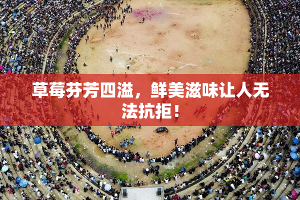 草莓芬芳四溢，鲜美滋味让人无法抗拒！