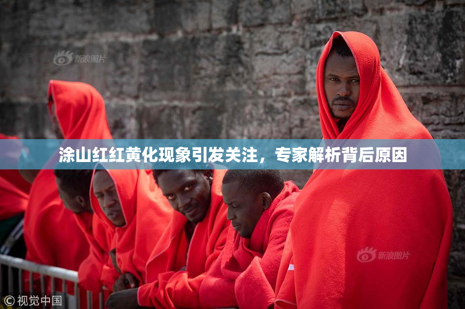 涂山红红黄化现象引发关注，专家解析背后原因