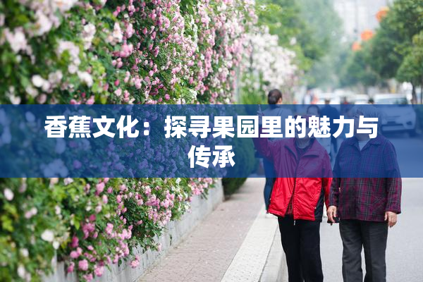 香蕉文化：探寻果园里的魅力与传承