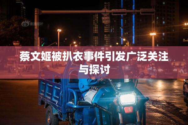 蔡文姬被扒衣事件引发广泛关注与探讨