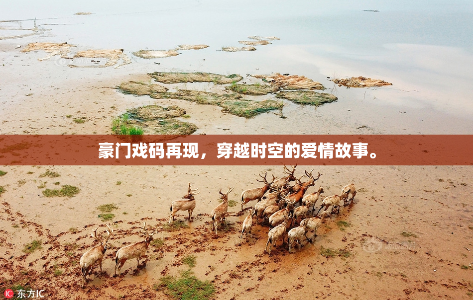 豪门戏码再现，穿越时空的爱情故事。