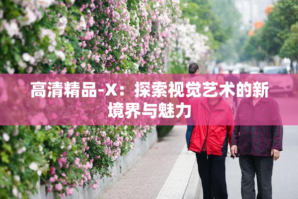 高清精品-X：探索视觉艺术的新境界与魅力