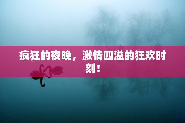 疯狂的夜晚，激情四溢的狂欢时刻！