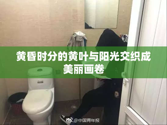 黄昏时分的黄叶与阳光交织成美丽画卷