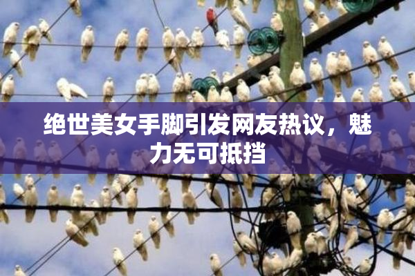 绝世美女手脚引发网友热议，魅力无可抵挡