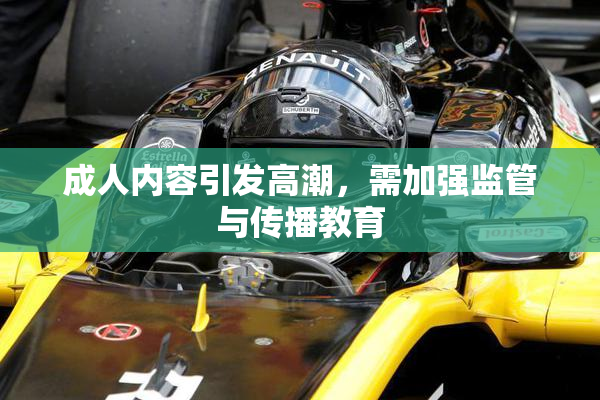成人内容引发高潮，需加强监管与传播教育