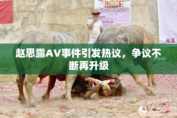 赵思露AV事件引发热议，争议不断再升级