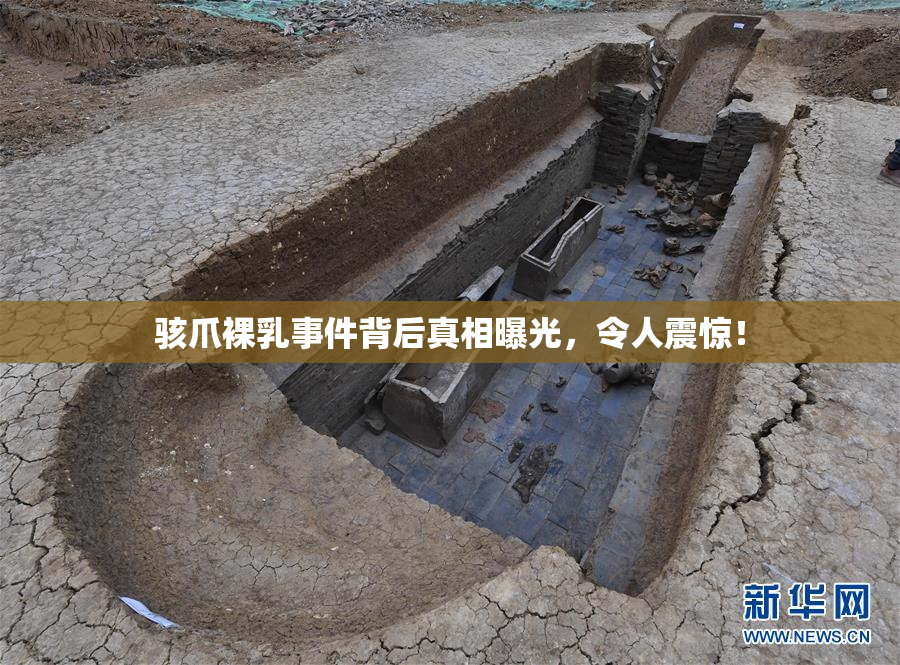 骇爪裸乳事件背后真相曝光，令人震惊！