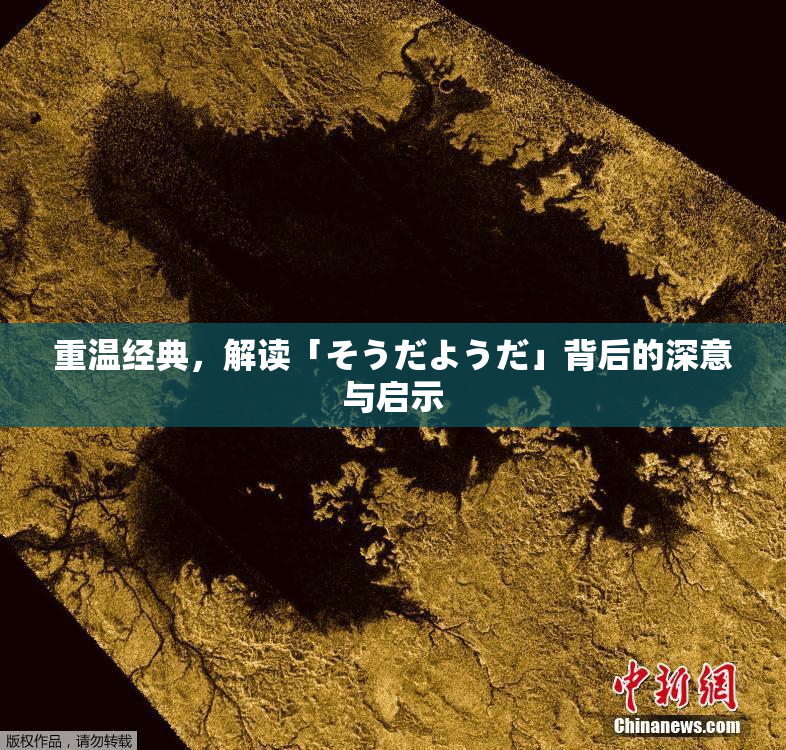 重温经典，解读「そうだようだ」背后的深意与启示