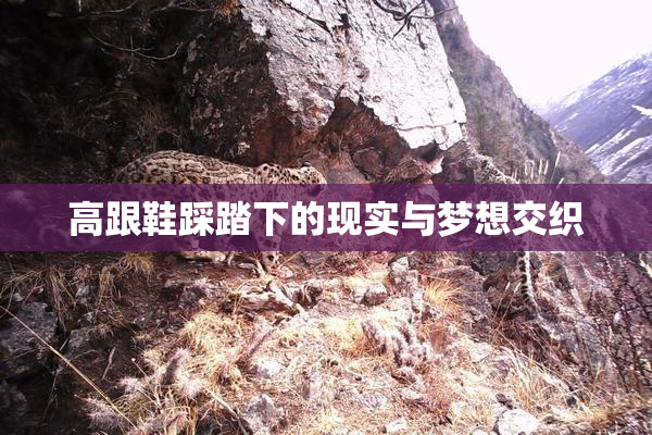 高跟鞋踩踏下的现实与梦想交织