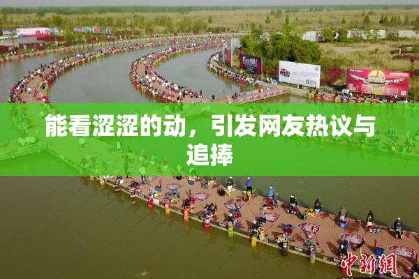 能看涩涩的动，引发网友热议与追捧