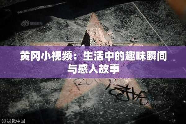 黄冈小视频：生活中的趣味瞬间与感人故事