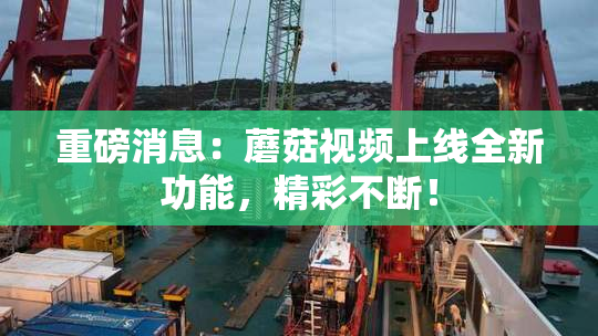 重磅消息：蘑菇视频上线全新功能，精彩不断！