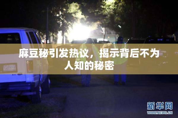 麻豆秘引发热议，揭示背后不为人知的秘密