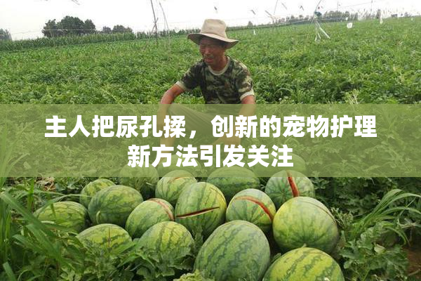 主人把尿孔揉，创新的宠物护理新方法引发关注