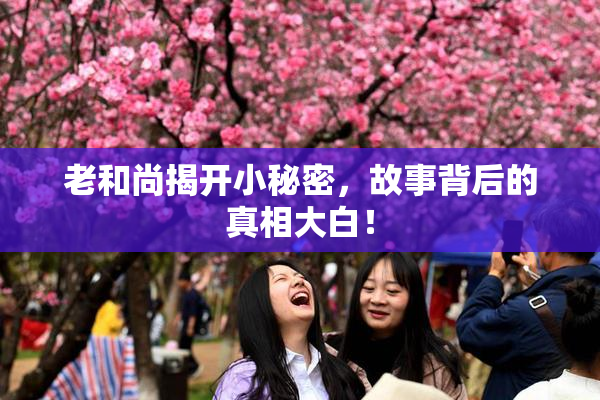 老和尚揭开小秘密，故事背后的真相大白！